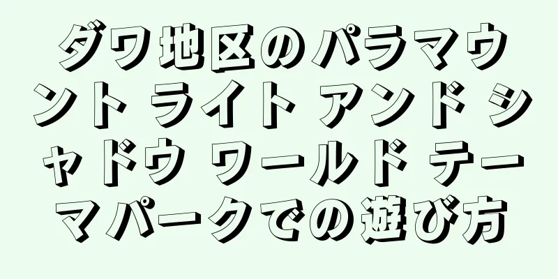 ダワ地区のパラマウント ライト アンド シャドウ ワールド テーマパークでの遊び方
