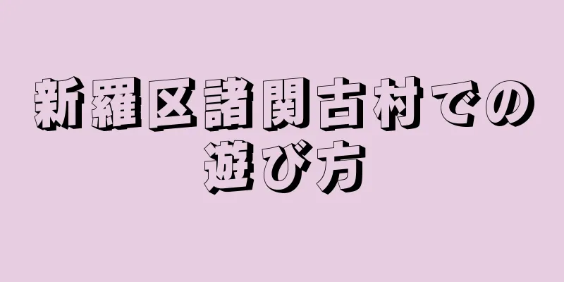 新羅区諸関古村での遊び方