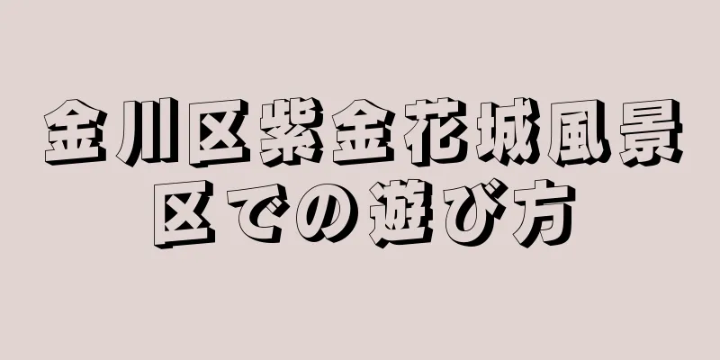 金川区紫金花城風景区での遊び方