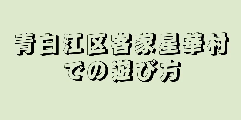 青白江区客家星華村での遊び方