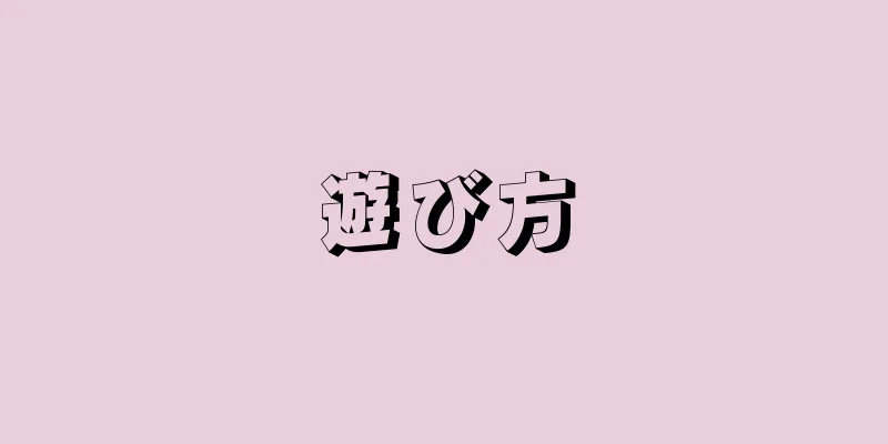 遊び方