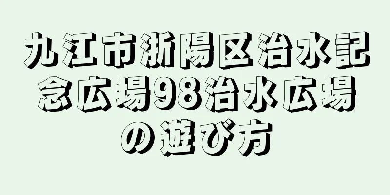 九江市浙陽区治水記念広場98治水広場の遊び方