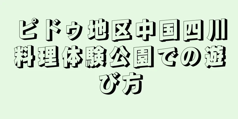 ピドゥ地区中国四川料理体験公園での遊び方