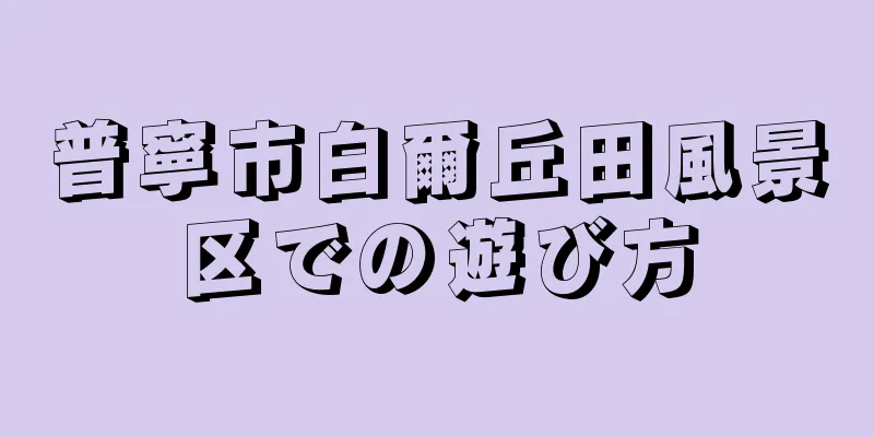 普寧市白爾丘田風景区での遊び方