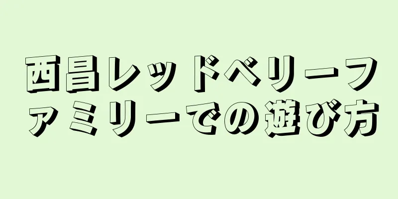 西昌レッドベリーファミリーでの遊び方