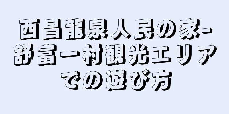 西昌龍泉人民の家-舒富一村観光エリアでの遊び方