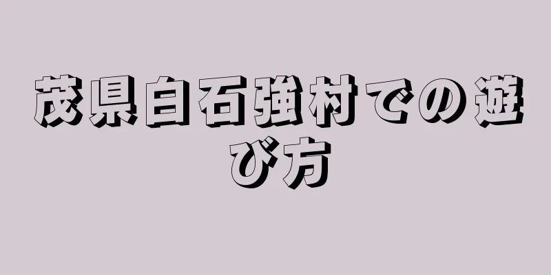 茂県白石強村での遊び方