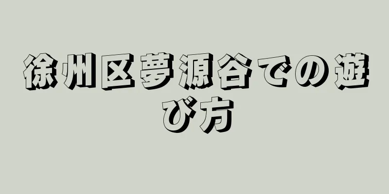 徐州区夢源谷での遊び方
