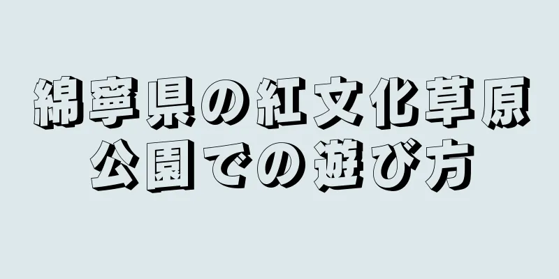 綿寧県の紅文化草原公園での遊び方