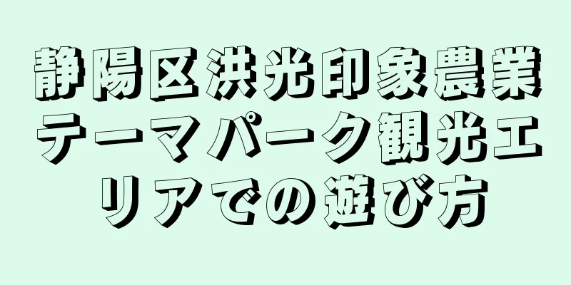 静陽区洪光印象農業テーマパーク観光エリアでの遊び方