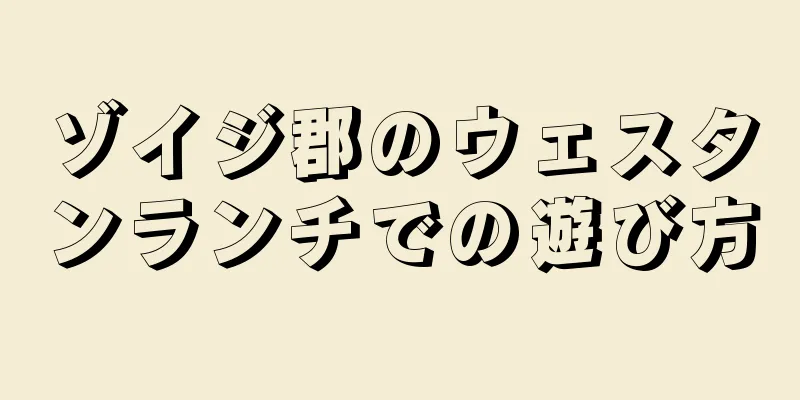 ゾイジ郡のウェスタンランチでの遊び方