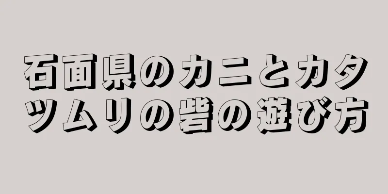 石面県のカニとカタツムリの砦の遊び方