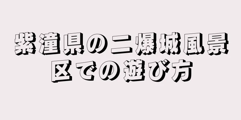 紫潼県の二爆城風景区での遊び方