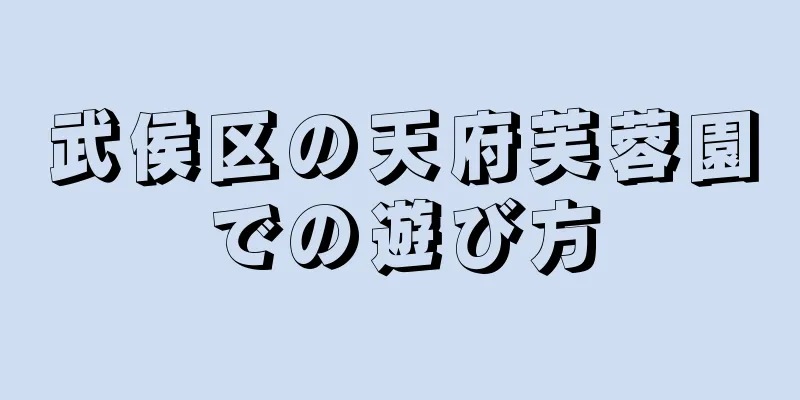 武侯区の天府芙蓉園での遊び方