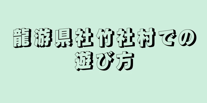 龍游県社竹社村での遊び方