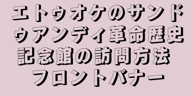 エトゥオケのサンドゥアンディ革命歴史記念館の訪問方法 フロントバナー