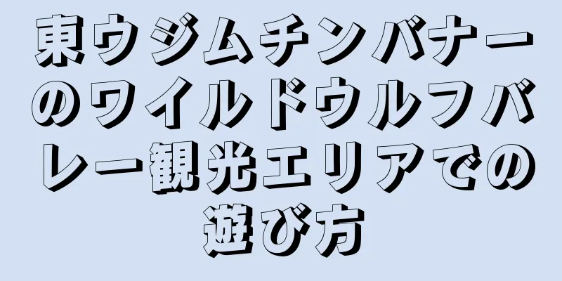 東ウジムチンバナーのワイルドウルフバレー観光エリアでの遊び方