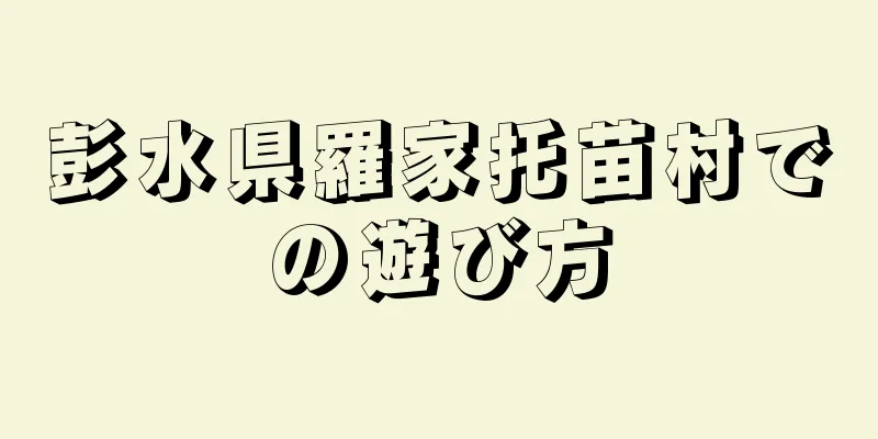 彭水県羅家托苗村での遊び方