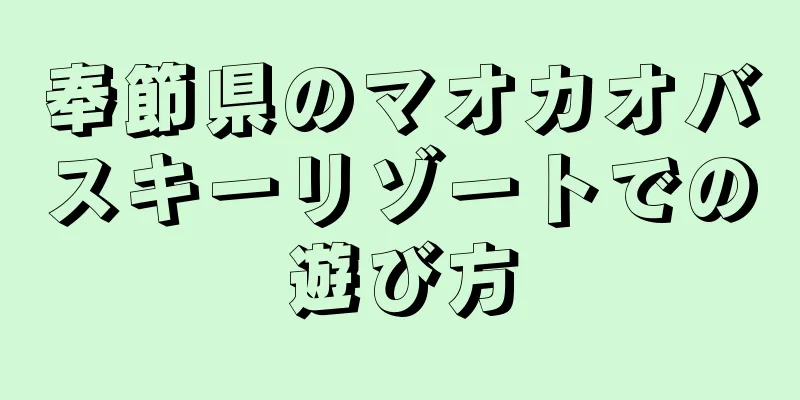 奉節県のマオカオバスキーリゾートでの遊び方