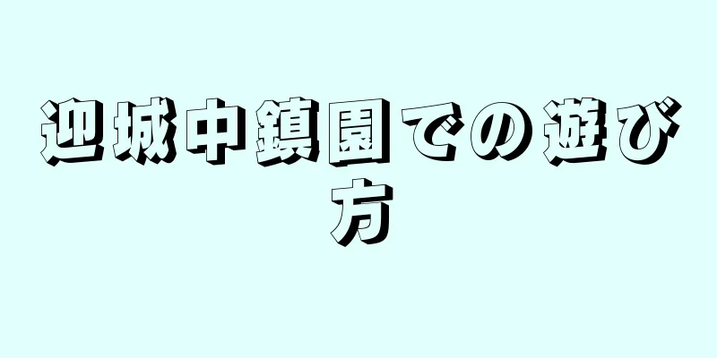 迎城中鎮園での遊び方