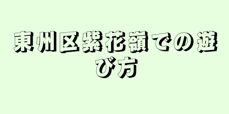 東州区紫花嶺での遊び方