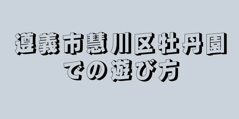遵義市慧川区牡丹園での遊び方