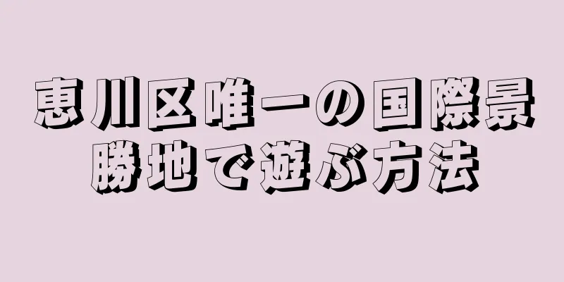 恵川区唯一の国際景勝地で遊ぶ方法