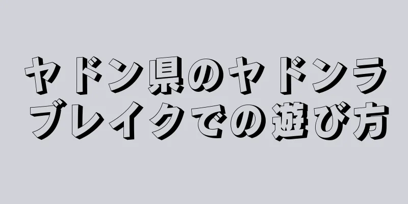 ヤドン県のヤドンラブレイクでの遊び方