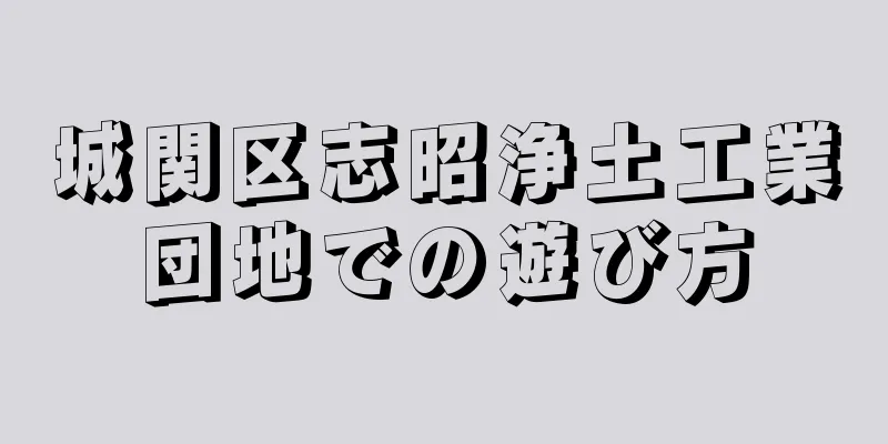 城関区志昭浄土工業団地での遊び方
