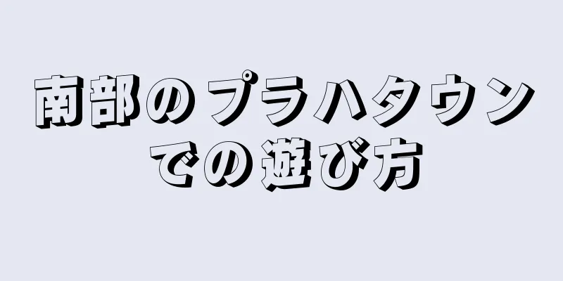 南部のプラハタウンでの遊び方