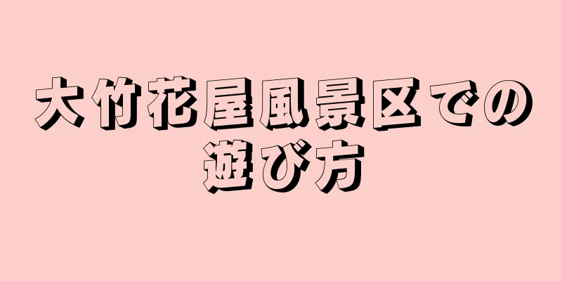大竹花屋風景区での遊び方