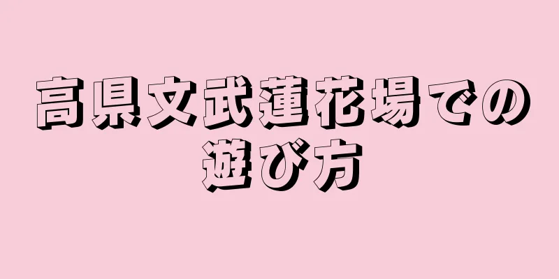 高県文武蓮花場での遊び方