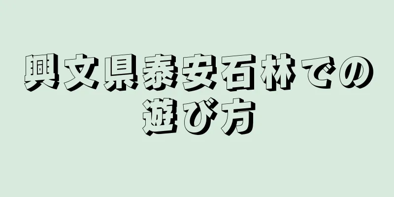 興文県泰安石林での遊び方