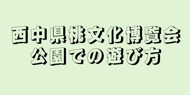 西中県桃文化博覧会公園での遊び方
