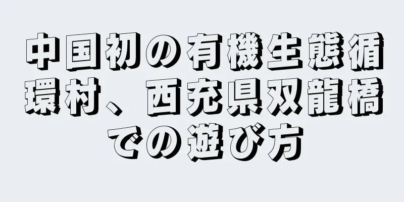中国初の有機生態循環村、西充県双龍橋での遊び方