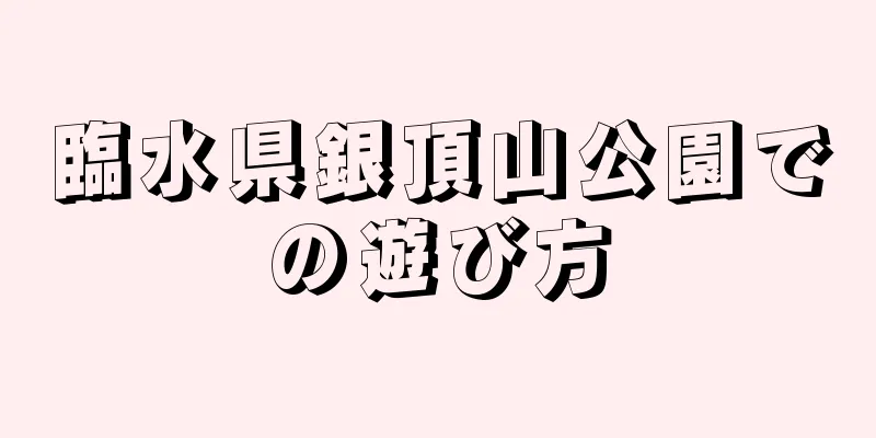 臨水県銀頂山公園での遊び方
