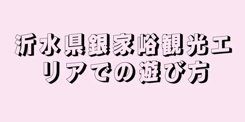 沂水県銀家峪観光エリアでの遊び方
