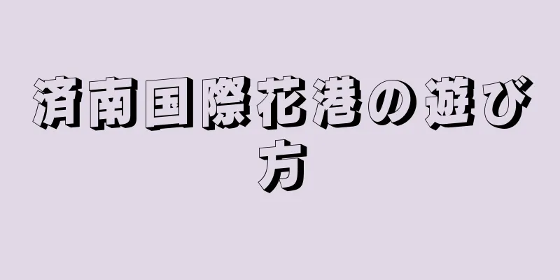 済南国際花港の遊び方