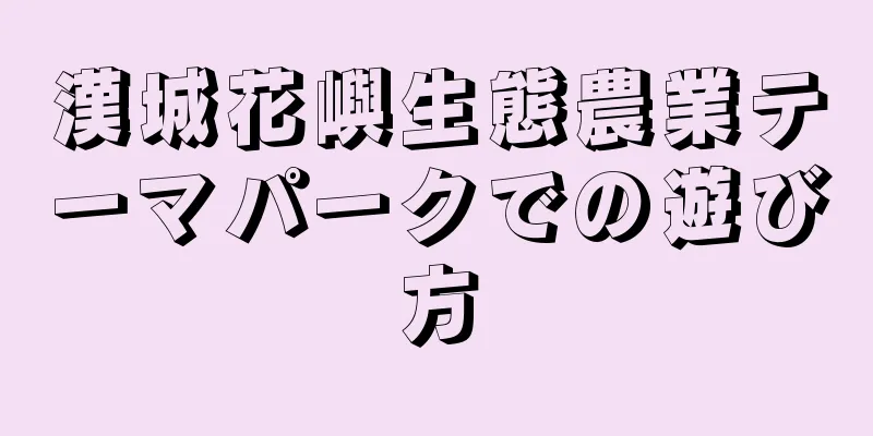 漢城花嶼生態農業テーマパークでの遊び方