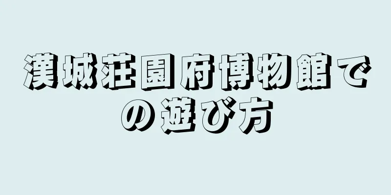 漢城荘園府博物館での遊び方