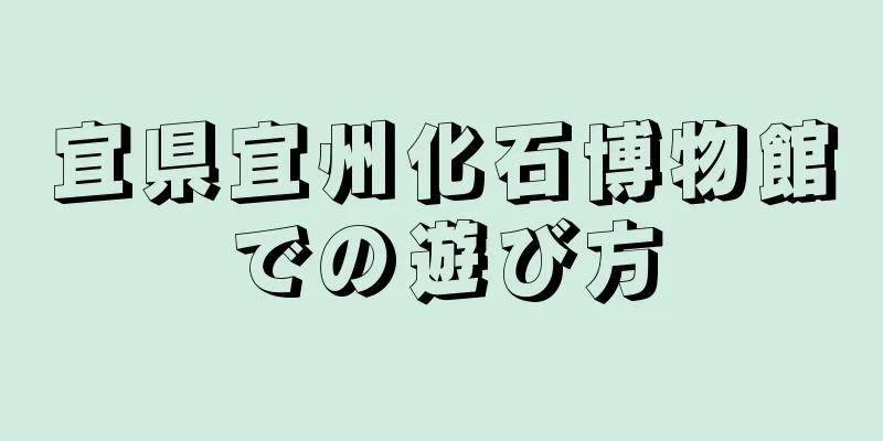 宜県宜州化石博物館での遊び方