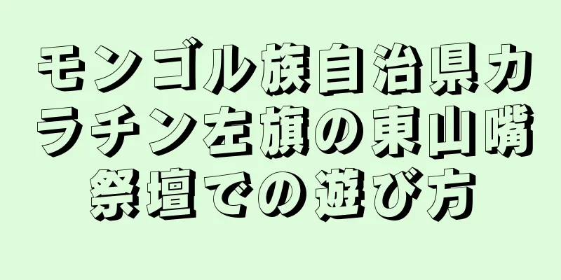 モンゴル族自治県カラチン左旗の東山嘴祭壇での遊び方
