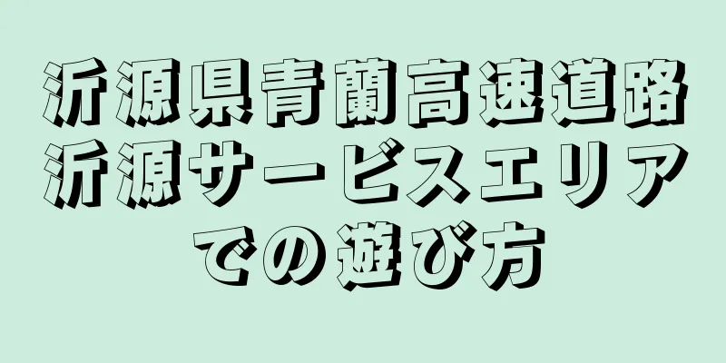 沂源県青蘭高速道路沂源サービスエリアでの遊び方