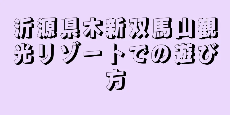 沂源県木新双馬山観光リゾートでの遊び方