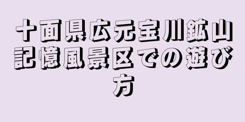 十面県広元宝川鉱山記憶風景区での遊び方