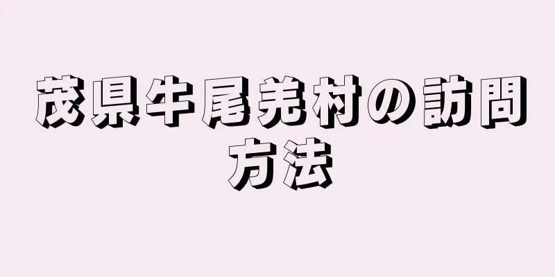 茂県牛尾羌村の訪問方法