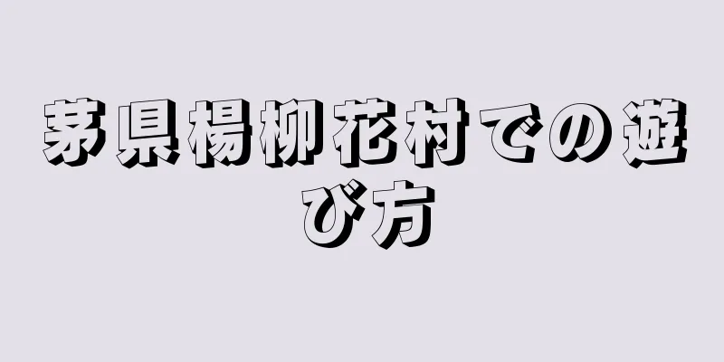 茅県楊柳花村での遊び方