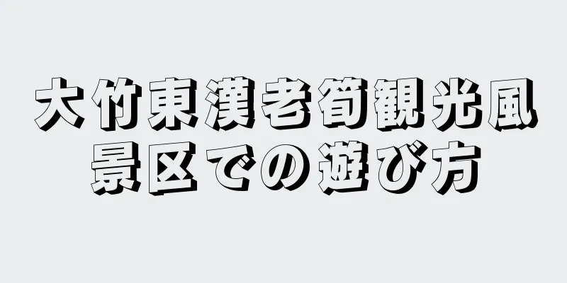 大竹東漢老筍観光風景区での遊び方