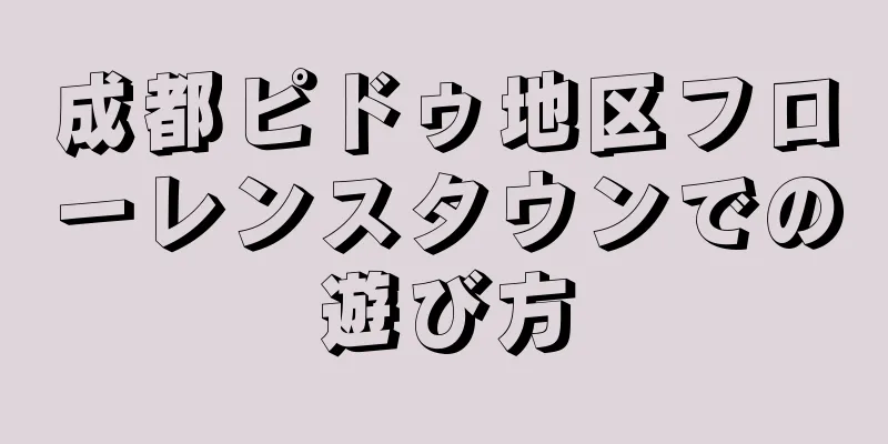 成都ピドゥ地区フローレンスタウンでの遊び方