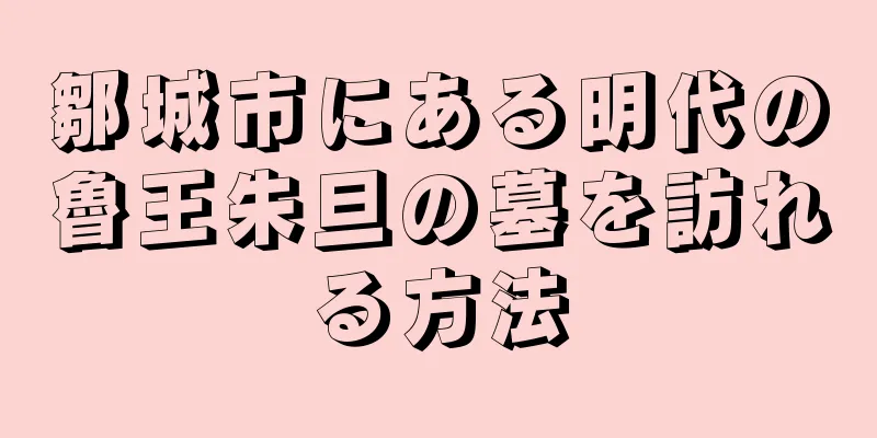 鄒城市にある明代の魯王朱旦の墓を訪れる方法